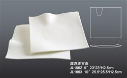 JL1662 1663漂浮正方盤
